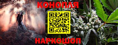 mix Будённовск