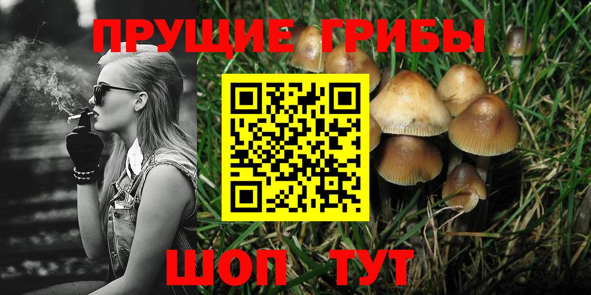 Новороссийск  Галлюциногенные грибы Psilocybine cubensis  Галлюциногенные грибы GOLDEN TEACHER  Вход с VPN 